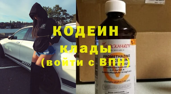шишки Новозыбков
