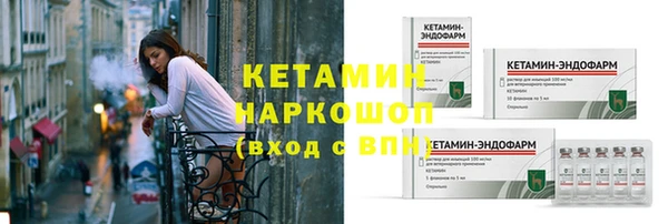 шишки Новозыбков