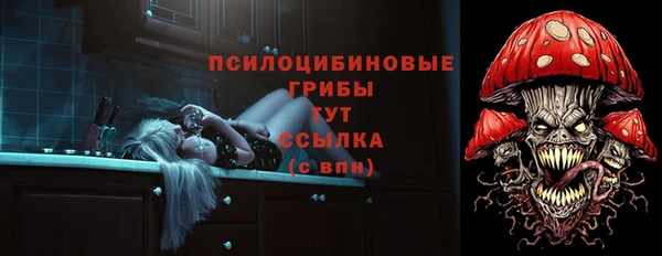 spice Няндома