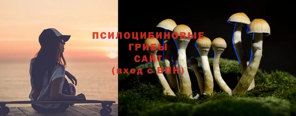 мяу мяу кристалл Новодвинск