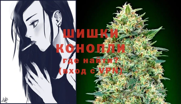 шишки Новозыбков