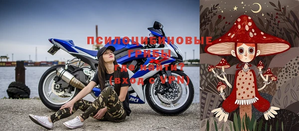 spice Няндома