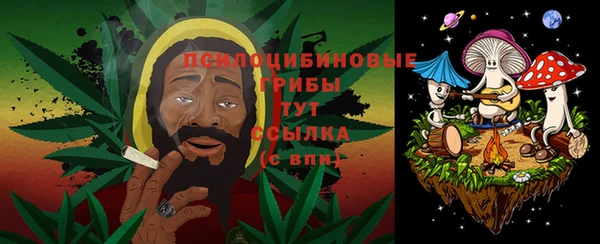 шишки Новозыбков