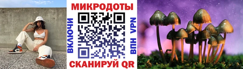 mega зеркало Чехов маркетплейс формула Галлюциногенные грибы Magic Shrooms